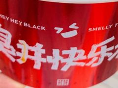 -黑色经典臭豆腐·湖南特产(坡子街特产局店)