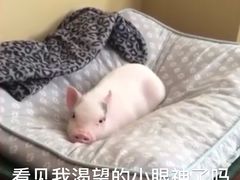 -鲜芋仙(时尚天河店)