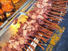 -艾力江和田馕坑烤肉店