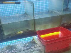 -翠茗农庄土菜馆(天目湖店)