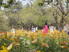 -名花谷生态庄园