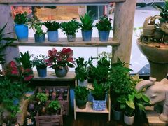 -十二舍·湯物素煮(江泰潤政店)
