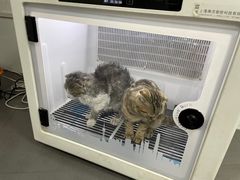 -艾贝尔宠物医院 ·中兽医·宠保定点(北门桥店)