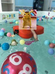 -乐悠游儿童游泳馆(宝安妇幼店)