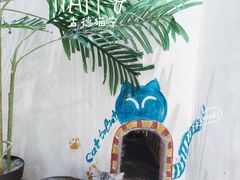 -藏猫猫咖啡主题馆(中央大道店)