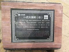 -大槐树寻根祭祖园