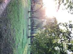 -蜀冈西峰生态公园