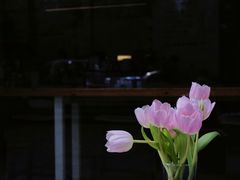 -COTTON CAFE(德信·中外公寓店)