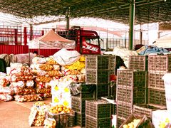 -江杨农产品批发市场