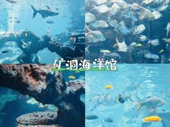 -长鹿旅游休博园