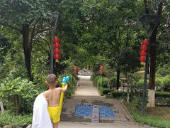 -英德宝晶宫天鹅湖茶语温泉