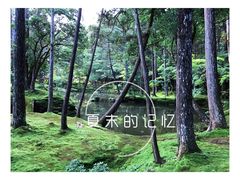 -西芳寺(苔寺)