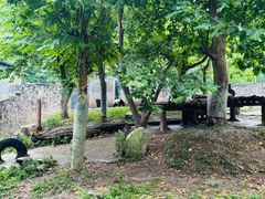 -都江堰中华大熊猫苑