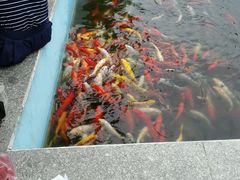 -广东茂名森林公园