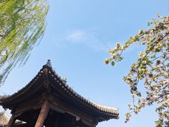 -元大都城垣遗址公园