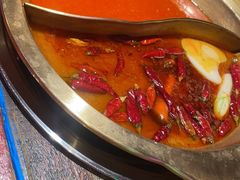 -房子红了鱼豆花重庆老火锅(广厦学院店)