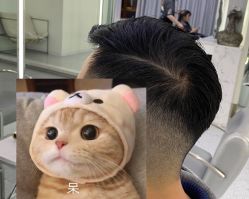 -FANPU·设计