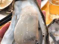 桑拿蚝-蚝专家(北滘店)