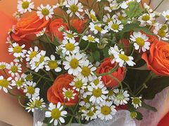 -循礼门鲜花花市(武汉循礼门店)