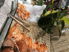 -瑞德姆美人鱼海底演艺主题餐厅(亚龙湾店)