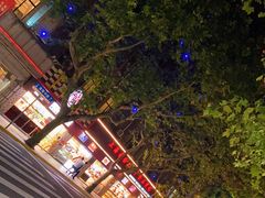 -上海全国土特产食品商场(淮海中路店)