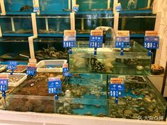 水产区-品海楼·大连海胆锅贴馆(东港店)