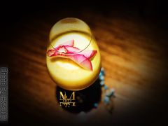 -TiKi餐厅酒吧
