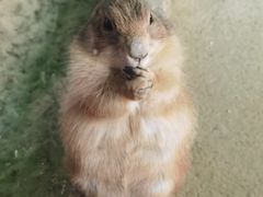 -杭州野生动物世界