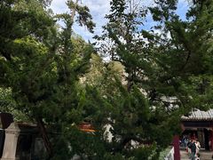 -潭柘寺景区