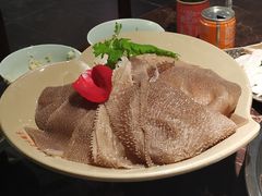 精品千层肚-晓宇重庆火锅(赛格国际购物中心店)