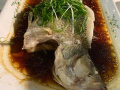 -云中小雅