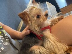 -银吉姆健身(恒隆馆)