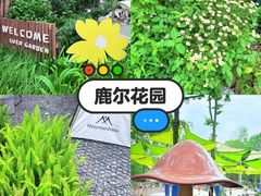 -老鼎万春卤菜(五代传承创始老店)