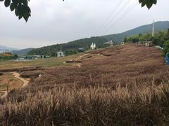 -瓷天下海丝谷