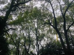 -石峰公园