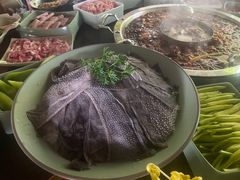 -巴倒烫陆派火锅山庄(南山总店)