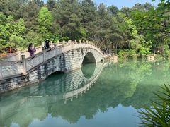 -铁山坪森林公园