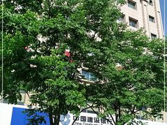 -中国建设银行(上海板泉路支行)