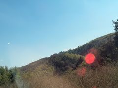 -四明山国家森林公园