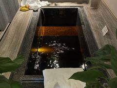 -春晖园度假酒店温泉