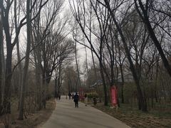 -廊坊市自然公园