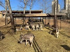 -大连森林动物园