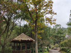 -黄公望隐居地