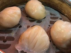 -点点心点心专门店(湾仔店)