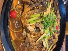 老板恋上鱼-老板恋上鱼(恒隆广场店)