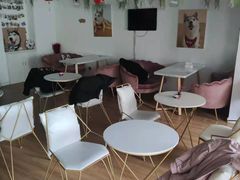 大堂-Husky Go! 哈士奇体验馆·宠物咖啡厅狗咖