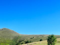 -塞罕坝国家级自然保护区