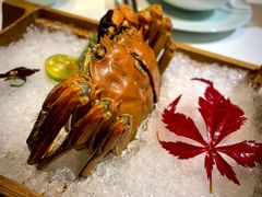 -荷风细雨·中国茶宴(碧云店)