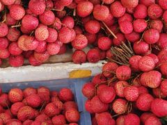 -鑫朱雀农贸批发市场