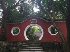 -桐君山春江扬帆码头